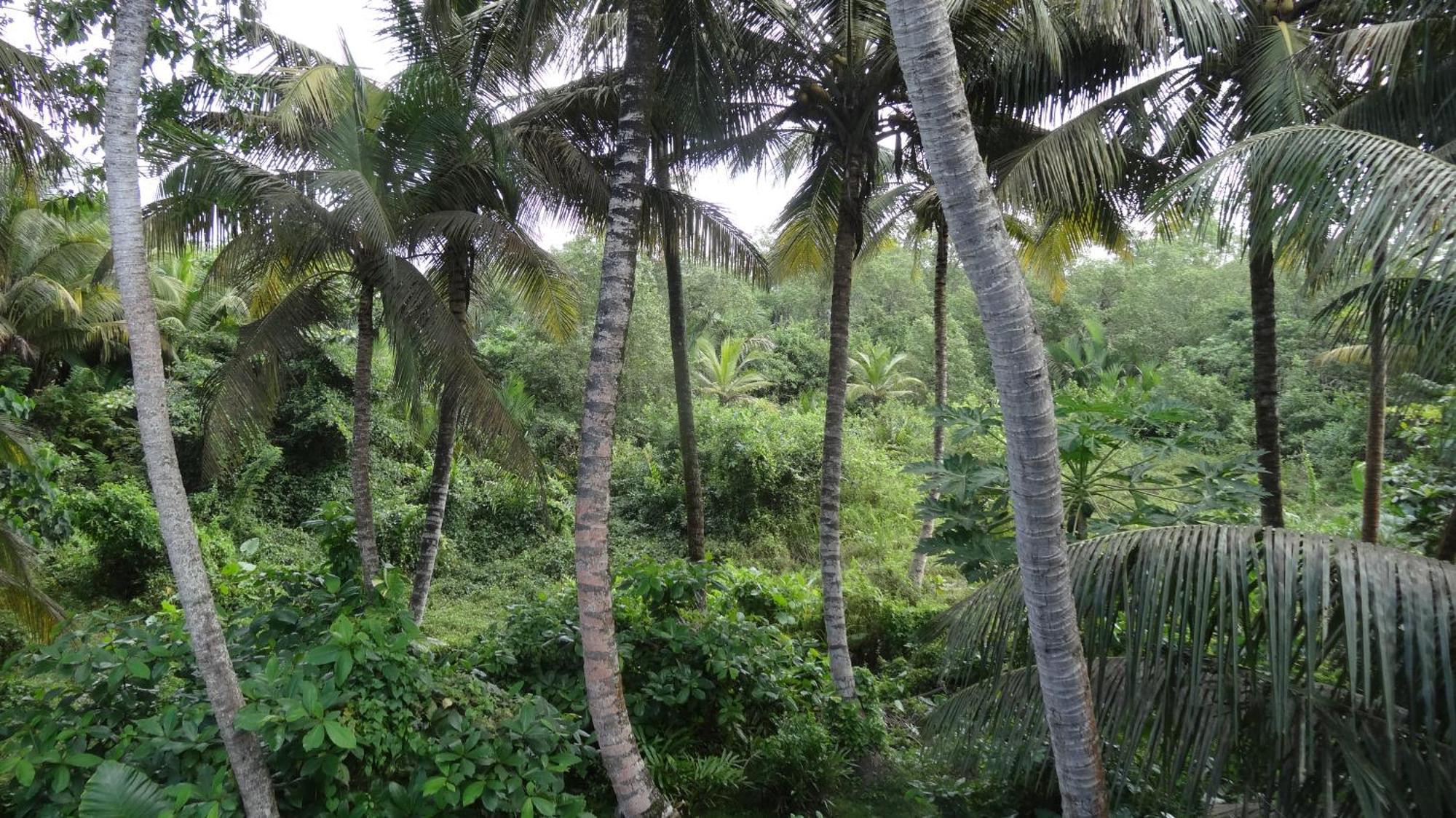 Ranil Villa Galle Extérieur photo